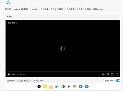 解决使用NPM反代AList无法播放视频的问题